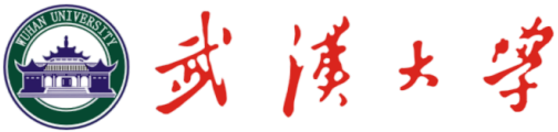 武汉大学